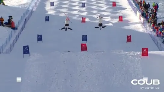 Freestyle World Ski Championships