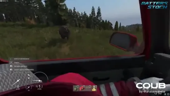 DayZ expirience