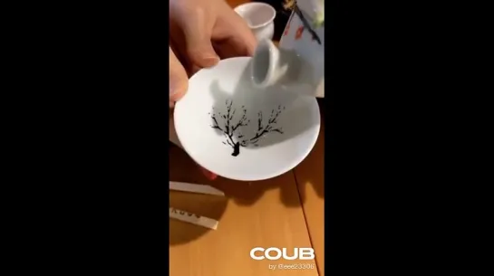 Special Sakura Cup