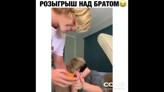 Бедный котик...