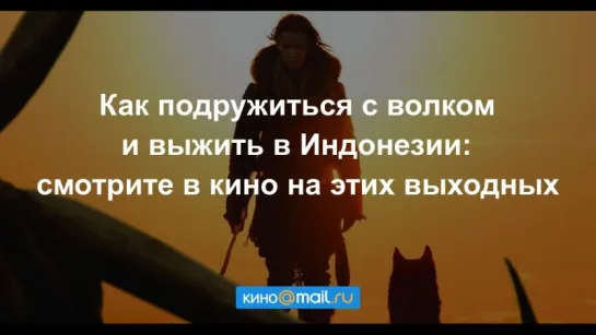 Как подружиться с волком и выжить в Индонезии: смотрите в кино на этих выходных