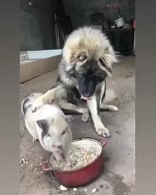 Видео от Взгляни на мир | путешествия, арт, фото, туризм