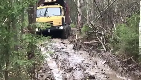 Вывозка по жиже