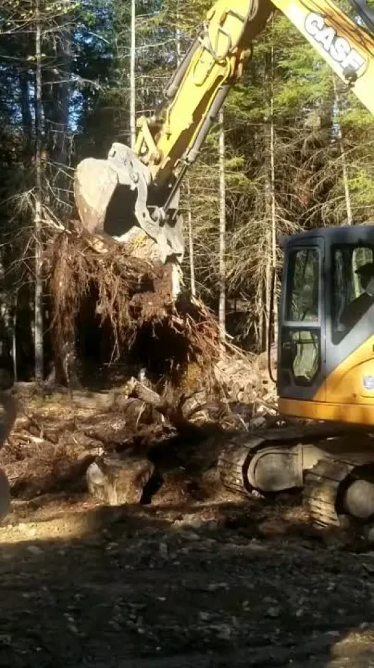 не поваляешь, не поешь )