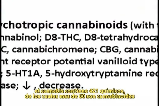 Cannabis, la cura del cancer - Subtítulos en Español