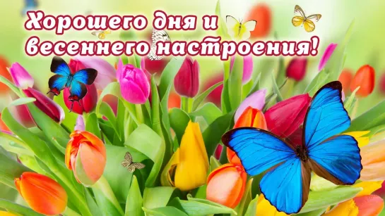 Весенний привет! ஜ۩۞۩ஜ💎●  Весна!   @♡♡♡☆☆☆●💎ஜ۩۞۩ஜ