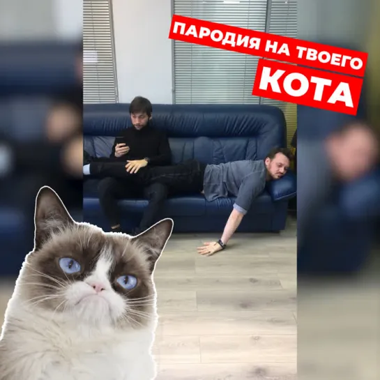 Пародия на кота. Часть 3