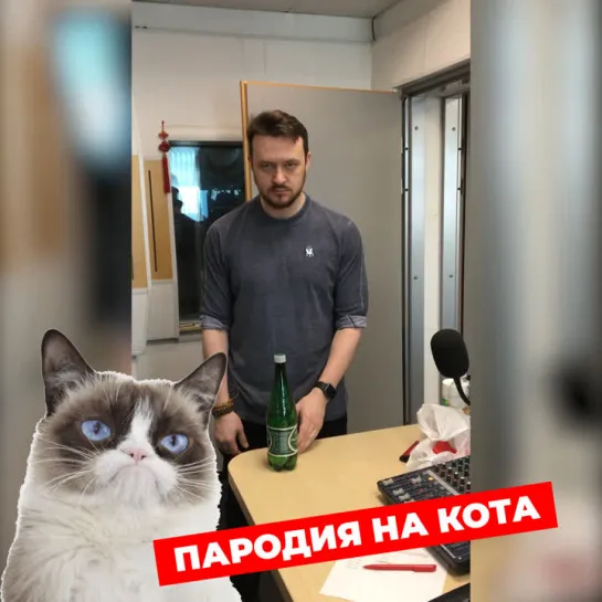 Пародия на кота