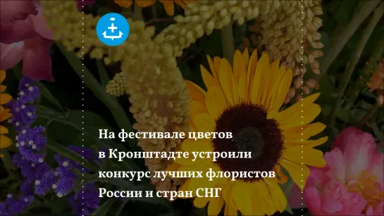 На фестивале цветов в Кронштадте устроили конкурс лучших флористов России и стран СНГ