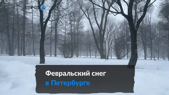 Снег в Петербурге