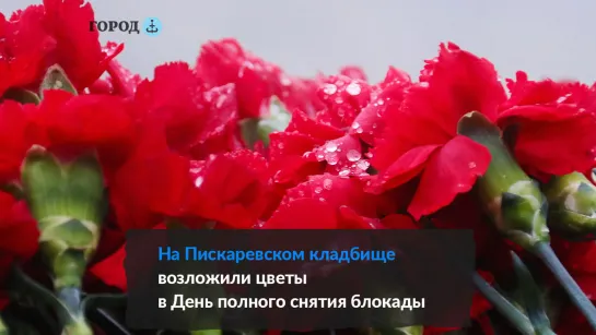 В Петербурге возложили цветы на Пискаревском кладбище в честь Дня полного снятия блокады