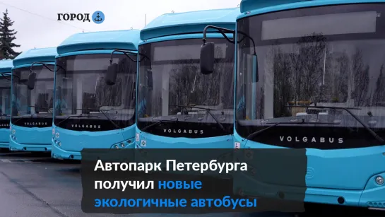 Автопарк Петербурга пополнили новые экологичные автобусы