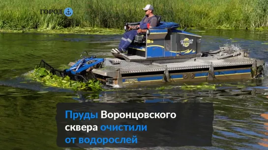 До конца августа водоросли скосят в 17 прудах и 18 реках Петербурга