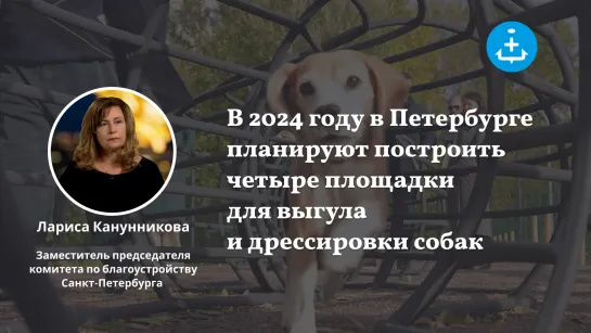 В 2024 году в Петербурге планируют построить четыре площадки для выгула и дрессировки собак