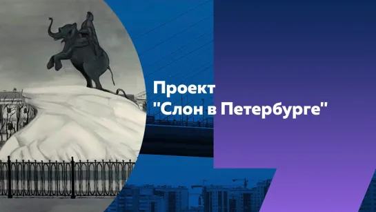 «Слоны Петербурга»: о необычном проекте Николая Копейкина и первом городском слоне