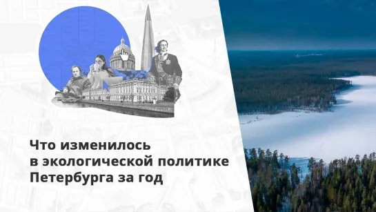 Дежурная служба и совет при губернаторе: экология остается в приоритете у петербургских властей