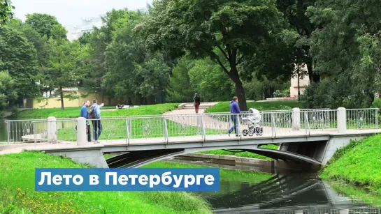 Лето-2019 в Петербурге: мнение горожан