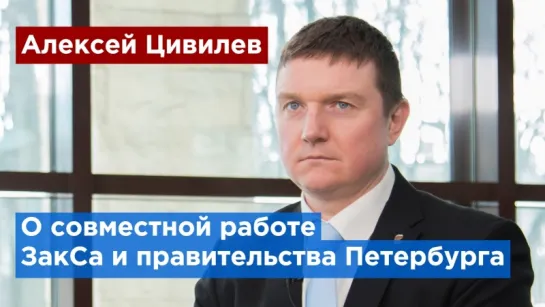 Правительство Петербурга и Заксобрание будут вместе решать городские проблемы