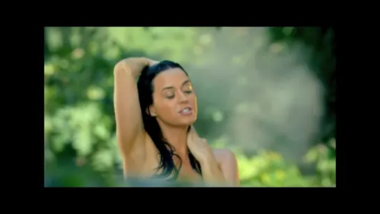 Katy Perry - Roar      BRIDGE TV