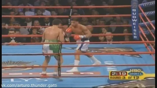 43 бой (24.01.2004) Аrturo Gatti vs. Gianluca Branco (1 часть)