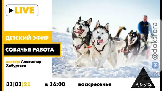 Детский эфир "Собачья работа" в рамках рубрики "Путешествия с натуралистом"