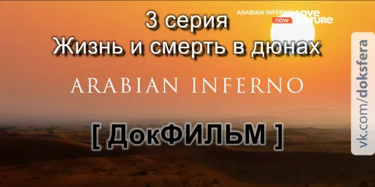 Знойная Аравия / 3 серия - Жизнь и смерть в дюнах