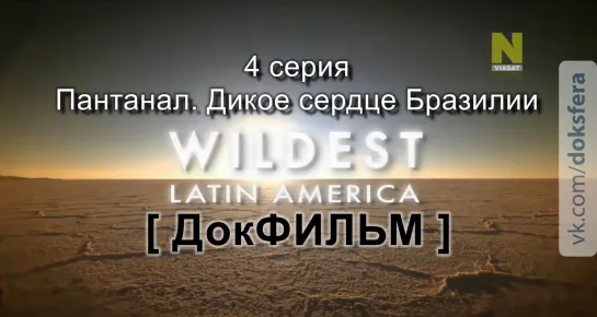 Дикая Латинская Америка / 4 серия - Пантанал. Дикое сердце Бразилии