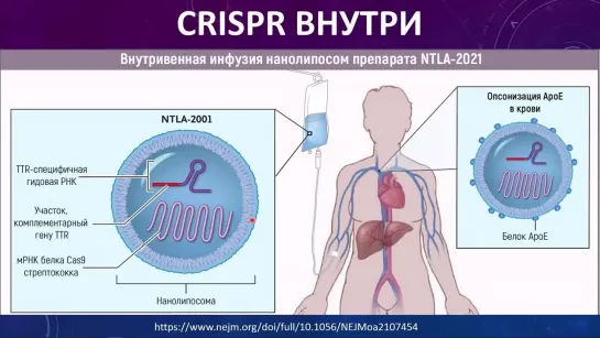 Алексей Водовозов. Итоги 2021 года в медицине