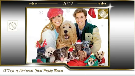 12 рождественских собак. Чудесное спасение /12 Dogs of Christmas Great Puppy Rescue (Кит Мэрилл /Kieth Merrill) 2012, США