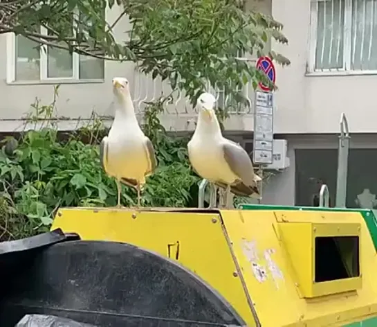 В этой жизни всё смешно, главное как посмотреть