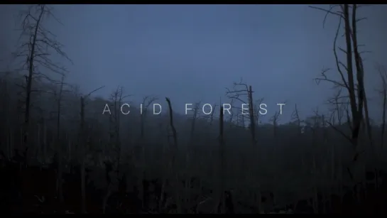 Acid Forest / Rugstus miskas (Lithuania, 2018) dir. Rugile Barzdziukaite