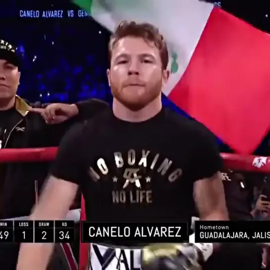 🔥 Canelo - GGG 2 🔥