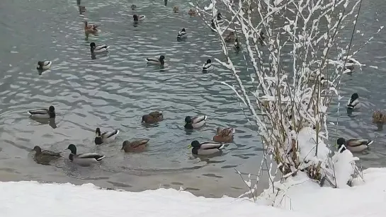 Февраль на Сероводородных