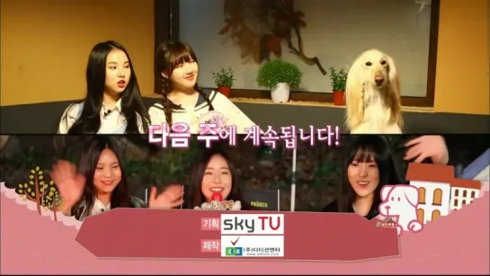 150428 GFRIEND @ Sky Pet park ep3