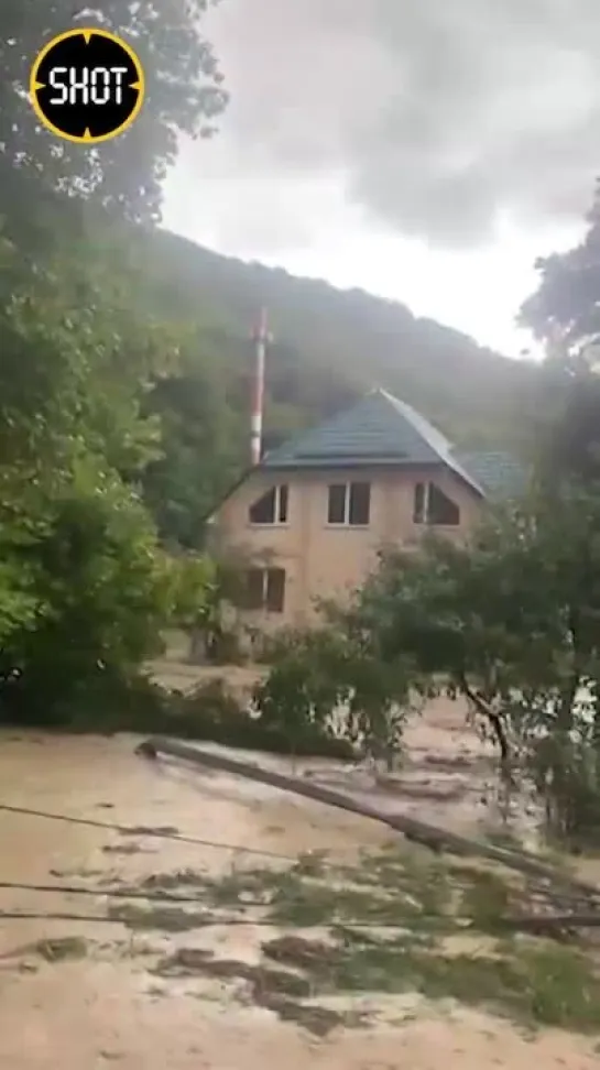 Видео от Хибины Апатиты Кировск Народное ТВ