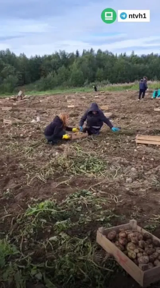 Видео от Хибины Апатиты Кировск Народное ТВ