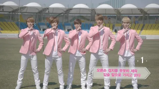 2012 Pink Play Concert SHINee