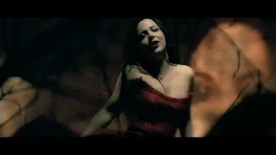 Evanescence - Sweet Sacrifice