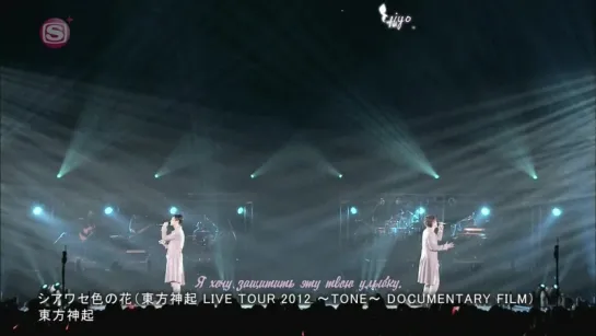 Tohoshinki - Shiawase Iro No Hana (Live Tour 2012 ~TONE~ Documentary Film) (5 v.o.l)