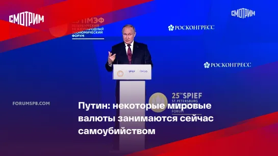 Путин: некоторые мировые валюты занимаются сейчас самоубийством