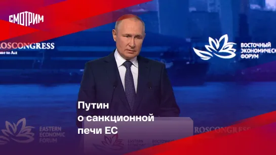 Путин о санкционной печи ЕС