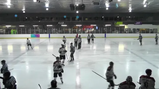 NZIHL 2021 Botany Swarm vs. Auckland Mako 2nd May 2021