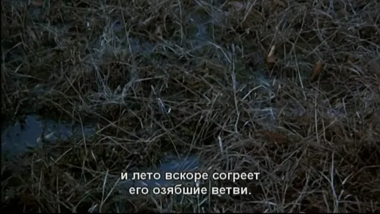 Почему Бодхидхарма ушел на Восток? / Dharmaga tongjoguro kan kkadalgun / Ён Гюн Пэ, 1989 (драма)