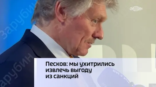 Песков: мы ухитрились извлечь выгоду из санкций