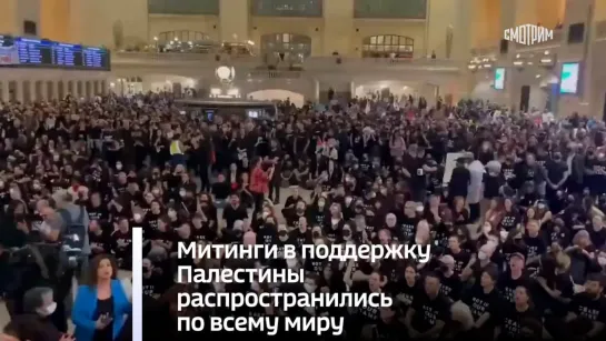 Митинги в поддержку Палестины распространились по всему миру