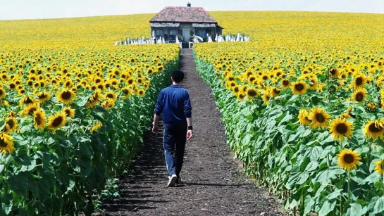 Свет вокруг / Всё озарено / Everything Is Illuminated (2005)