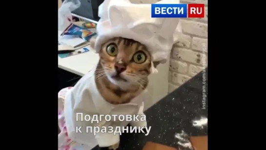 С Международным женским днем!