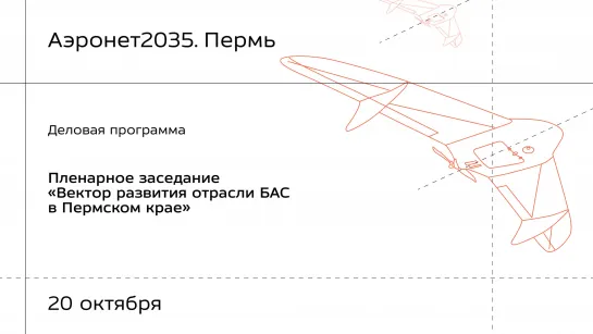 Пленарное заседание «Вектор развития отрасли БАС в Пермском крае»