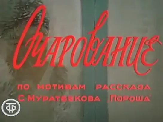 Очарование (1974) СССР