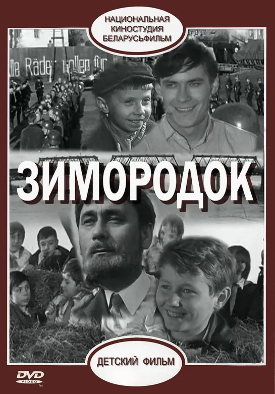 Зимородок (1972) СССР